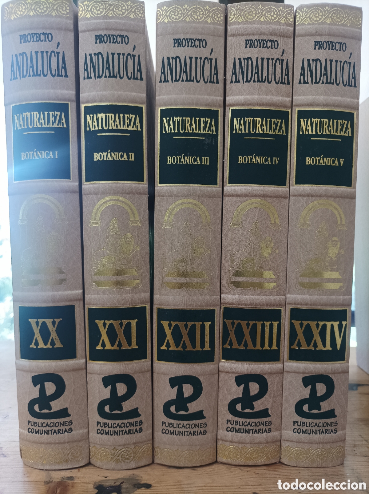 Libros de segunda mano: Proyecto Andaluc&iacute;a. Naturaleza. Bot&aacute;nica I, II, III, IV y V. Tomos XX, XXI, XXII, XXIII y XXIV.