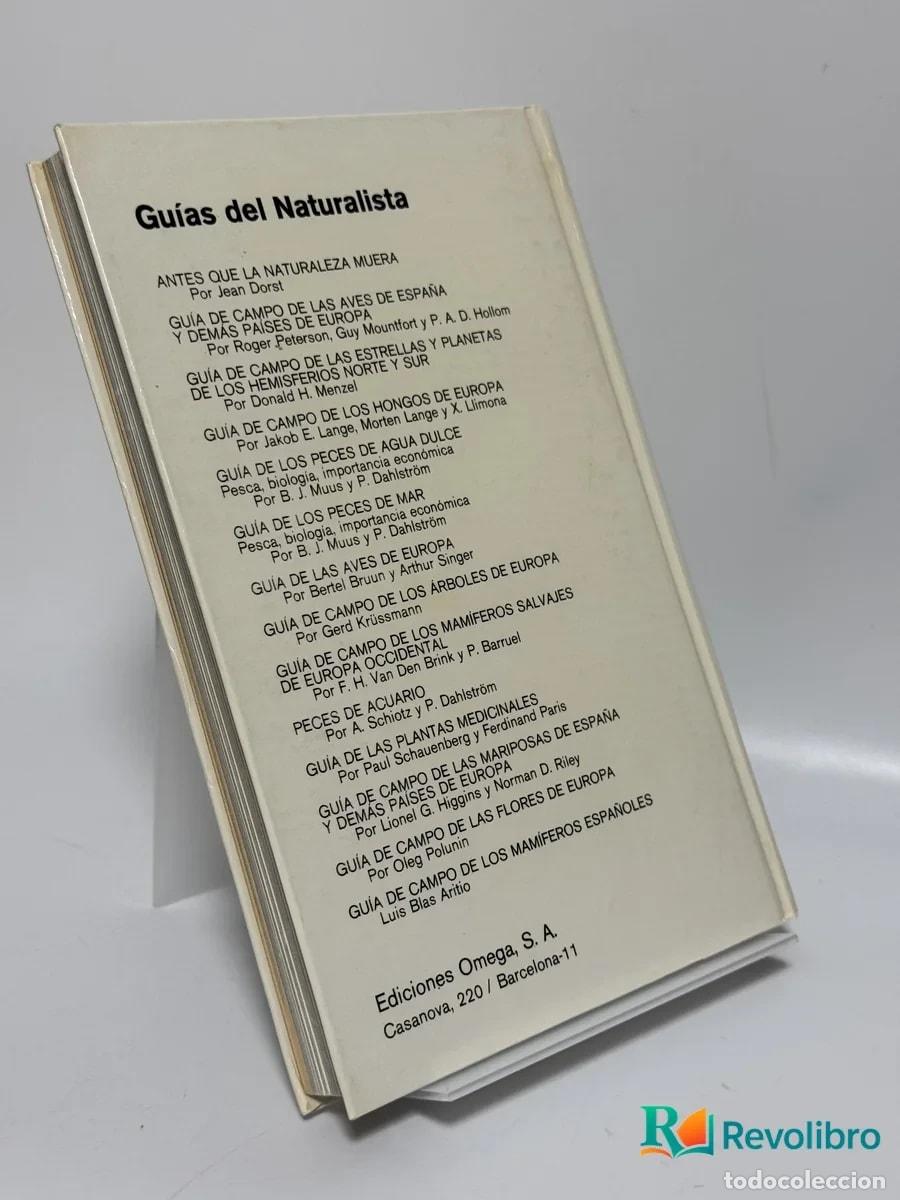 Libros de segunda mano: Rocas y minerales - Walter Schumann - Foto 5