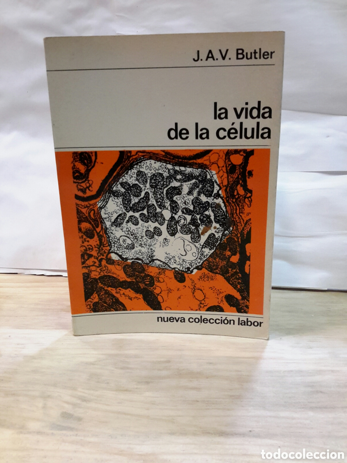 Libros de segunda mano de ciencias: La vida de la celula J.A.V butler - Foto 1