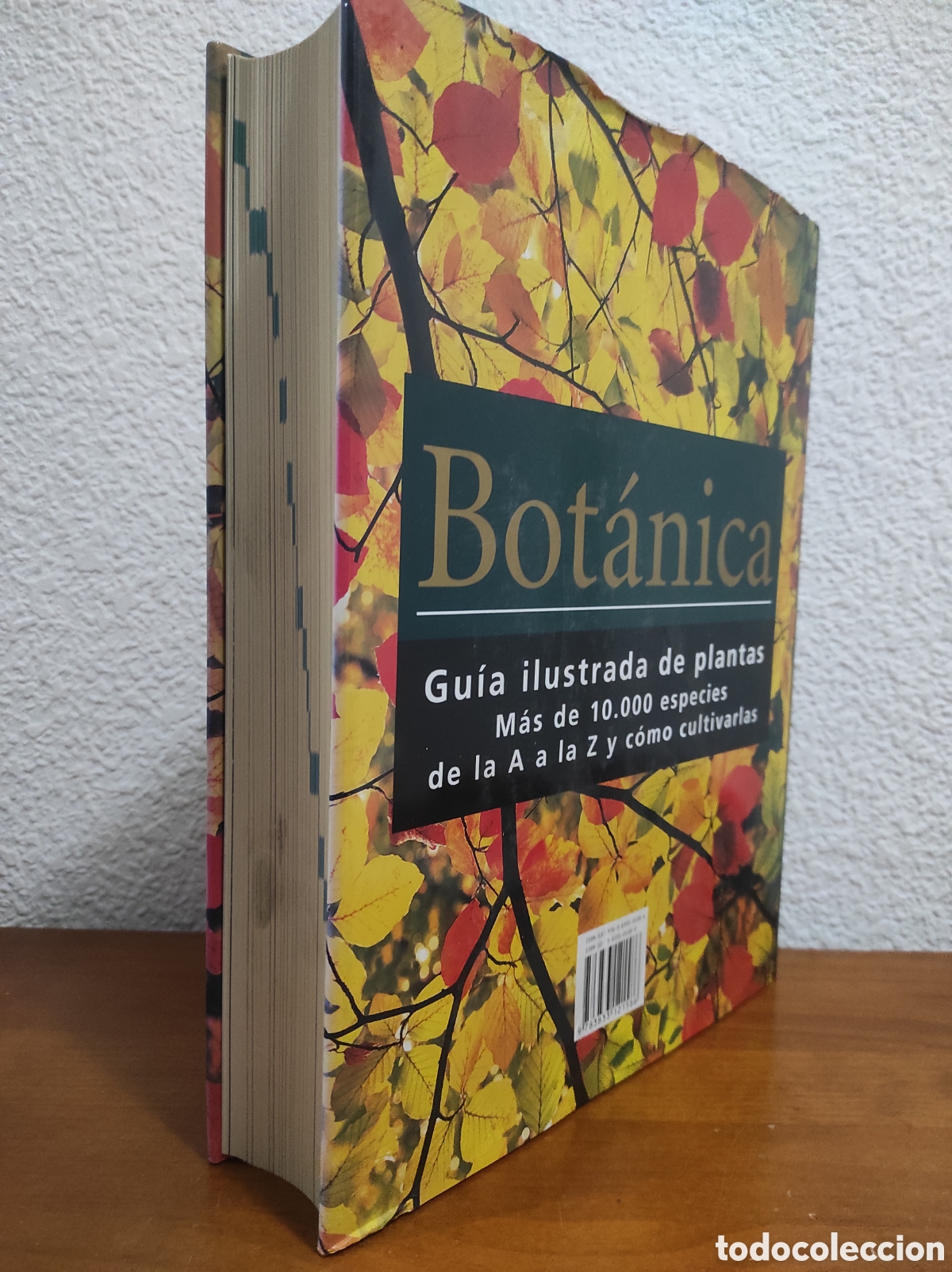 Libros de segunda mano: Bot&aacute;nica. Guia ilustrada de plantas. Konemann - Foto 2
