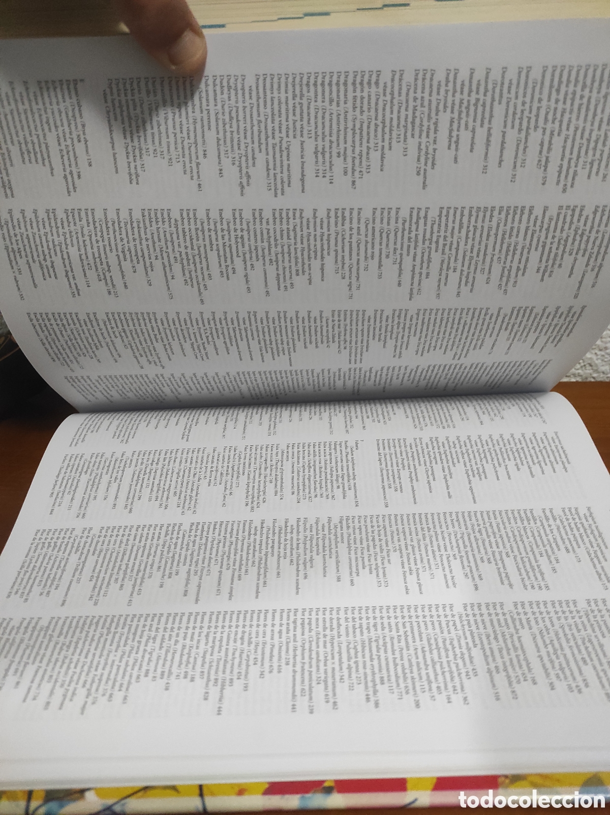 Libros de segunda mano: Bot&aacute;nica. Guia ilustrada de plantas. Konemann - Foto 6