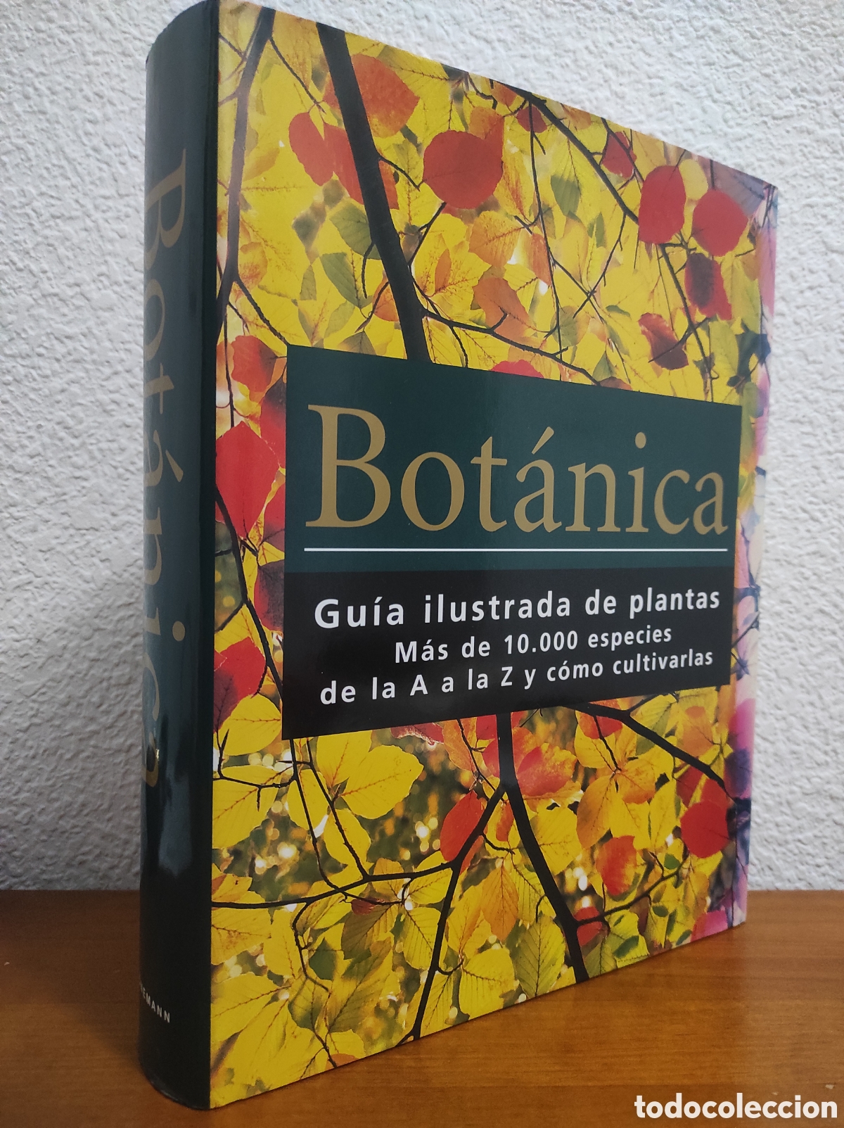 Libros de segunda mano: Bot&aacute;nica. Guia ilustrada de plantas. Konemann