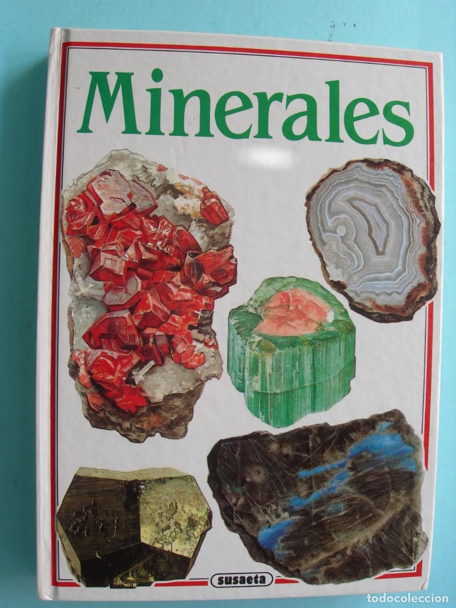 Libros de segunda mano: MINERALES / JAROSLAV SVENEK / GEOLOG&Iacute;A - Foto 1