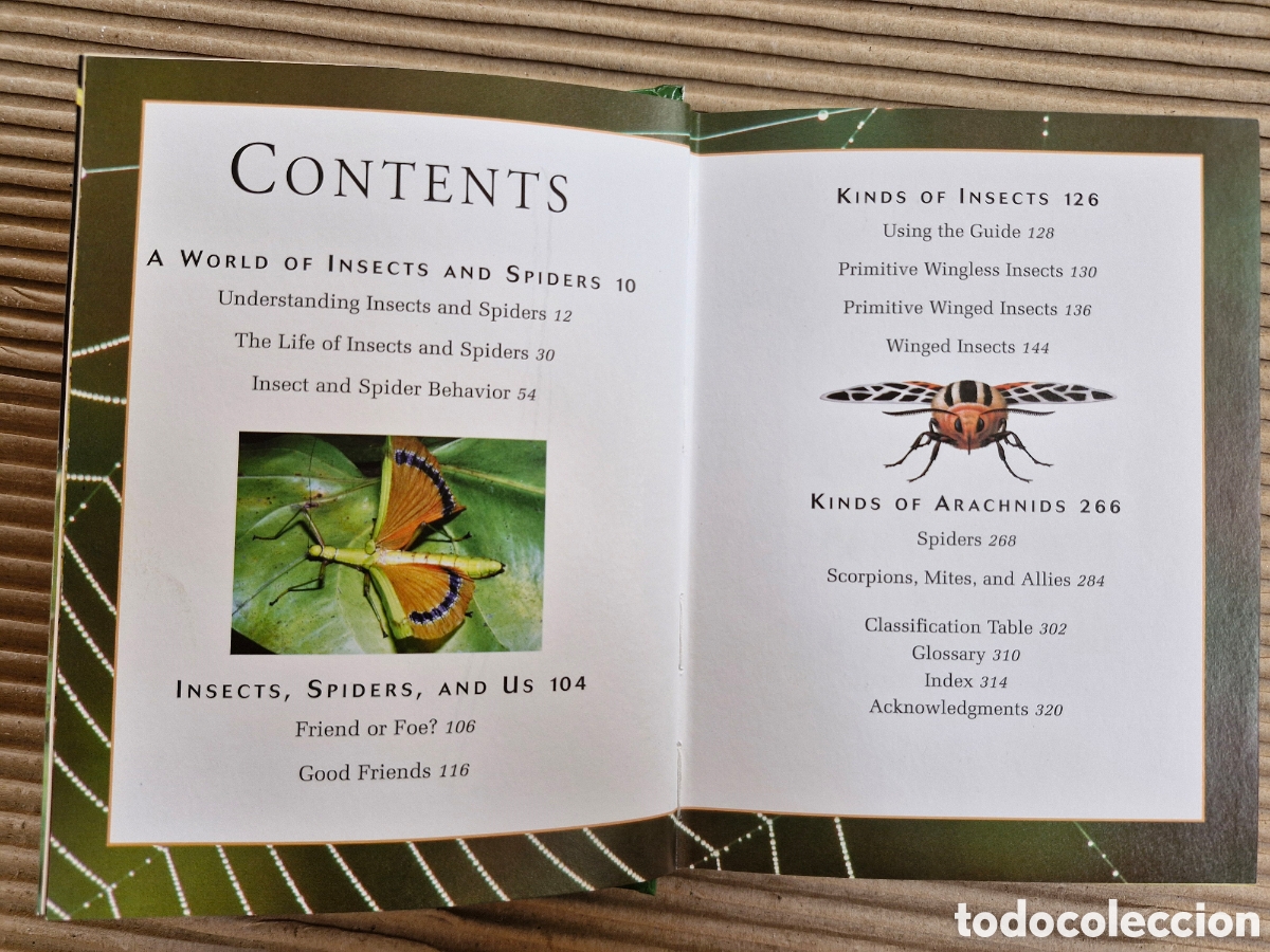 Libros de segunda mano: INSECTS & SPIDERS (HOME REFERENCE LIBRARY) &ndash; LIBRO GUIA COMPLETA ILIUSTRADA INSECTOS Y ARA&Ntilde;AS &bull; - Foto 3