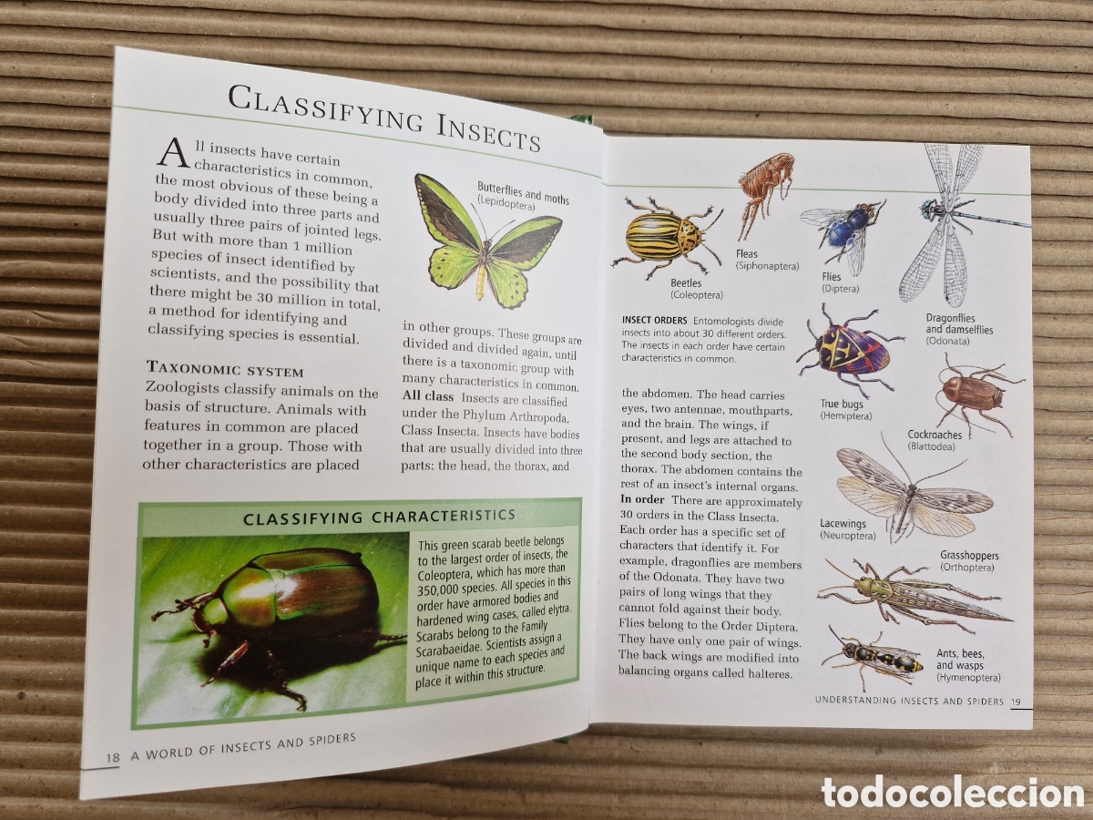 Libros de segunda mano: INSECTS & SPIDERS (HOME REFERENCE LIBRARY) &ndash; LIBRO GUIA COMPLETA ILIUSTRADA INSECTOS Y ARA&Ntilde;AS &bull; - Foto 4