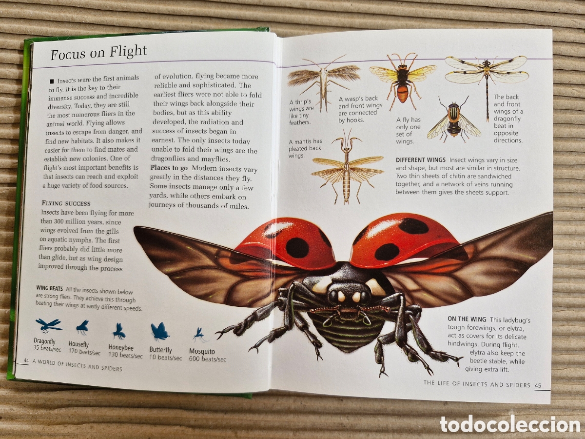 Libros de segunda mano: INSECTS & SPIDERS (HOME REFERENCE LIBRARY) &ndash; LIBRO GUIA COMPLETA ILIUSTRADA INSECTOS Y ARA&Ntilde;AS &bull; - Foto 5
