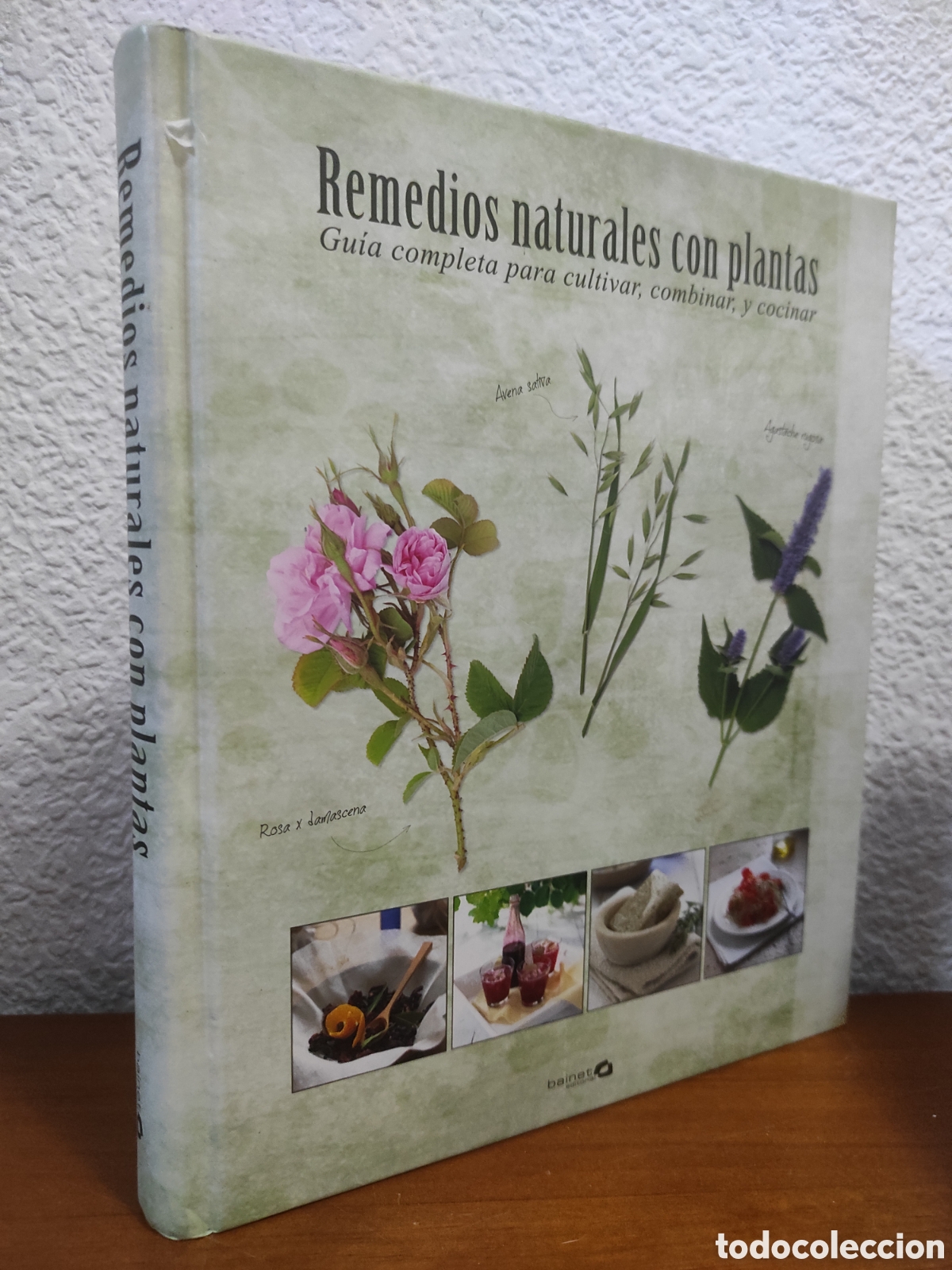 Libros de segunda mano: Remedios naturales con plantas. Gu&iacute;a completa para cultivar, combinar y cocinar.
