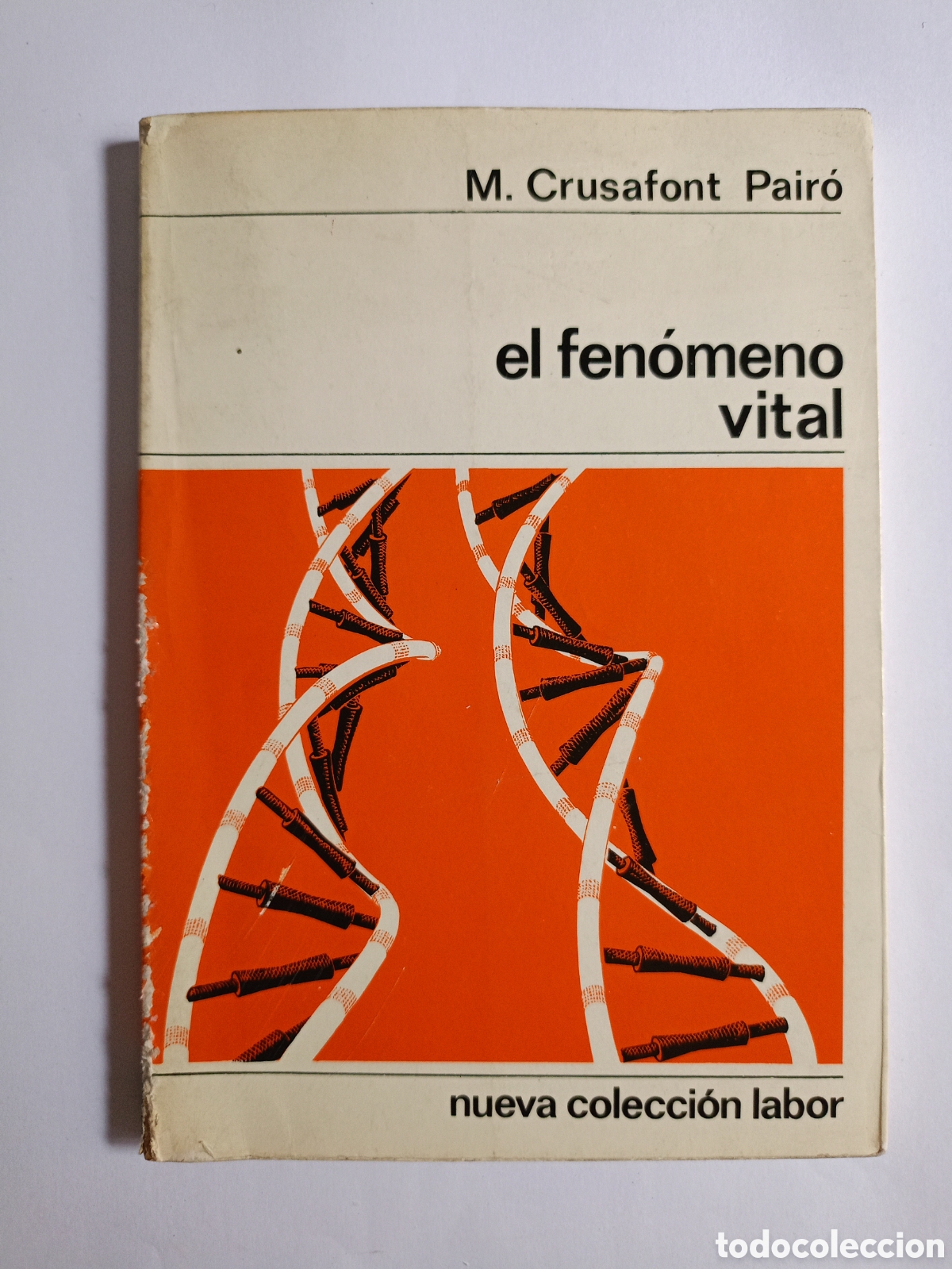 Libri di seconda mano: EL FEN&Oacute;MENO VITAL LIBRO CRUSAFONT PAIR&Oacute; REFLEXI&Oacute;N SOBRE EL HOMBRE BIOLOG&Iacute;A
