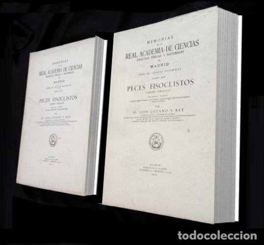 Libros de segunda mano: PECES FISOCLISTOS. [2 T]. REAL ACADEMIA DE CIENCIAS EXACTAS FISICAS Y NATURALES. L. REY.