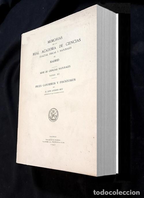 Libros de segunda mano: PECES GANOIDEOS Y FISOSTOMOS. REAL ACADEMIA DE CIENCIAS EXACTAS FISICAS Y NATURALES.