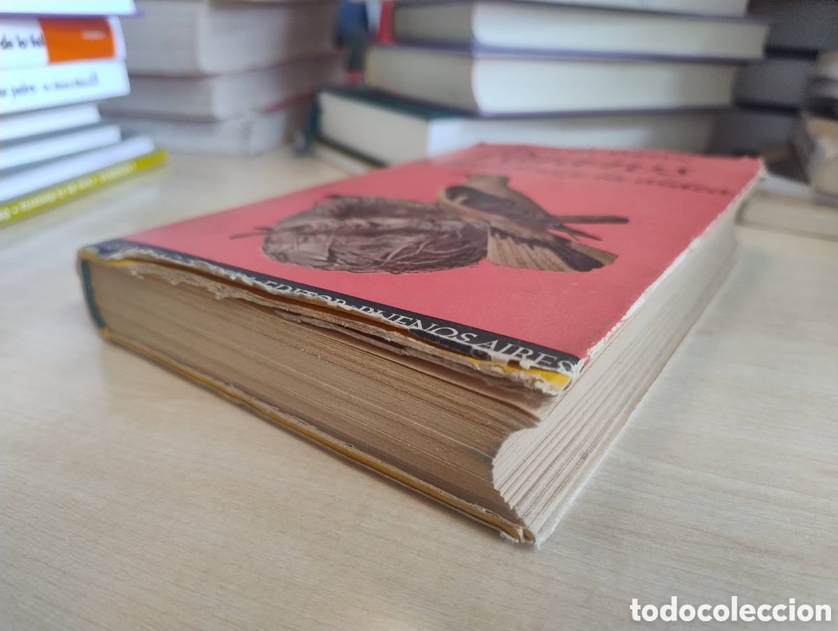 Libros de segunda mano: P&aacute;jaros de la ciudad y la aldea - Foto 3