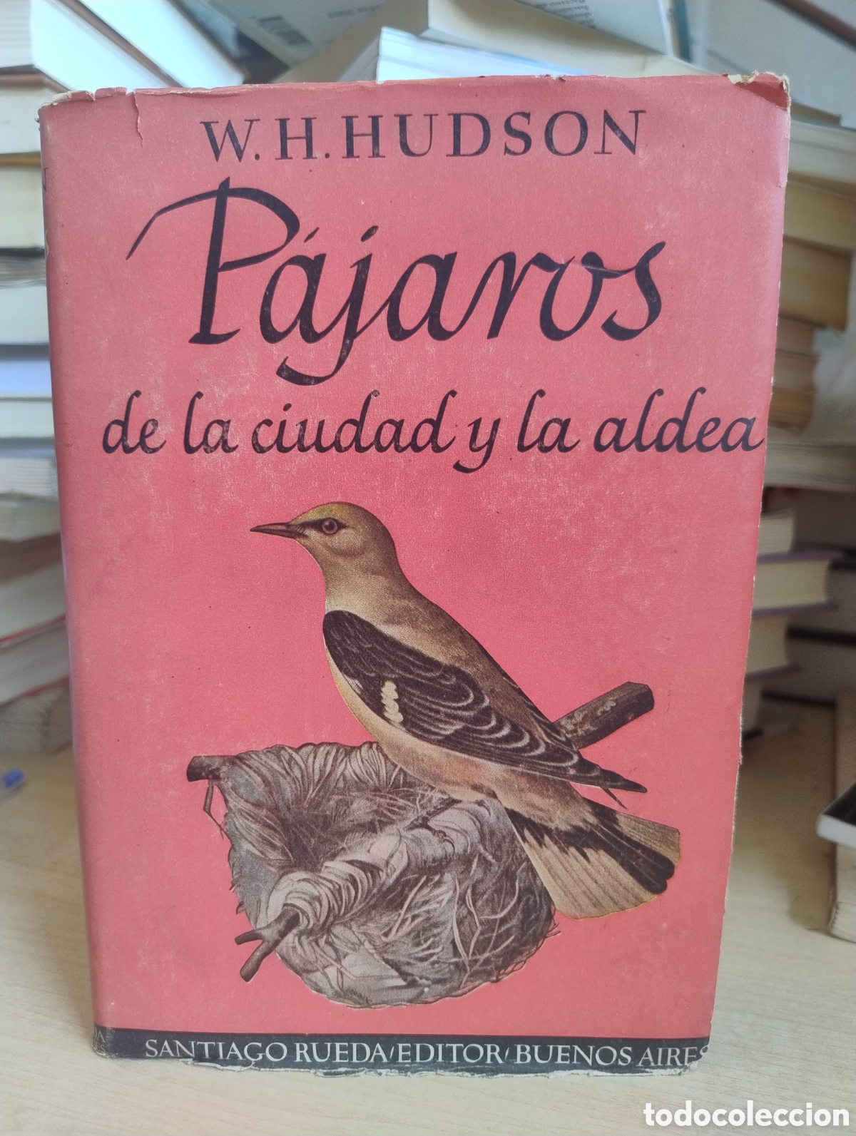 Libros de segunda mano: P&aacute;jaros de la ciudad y la aldea
