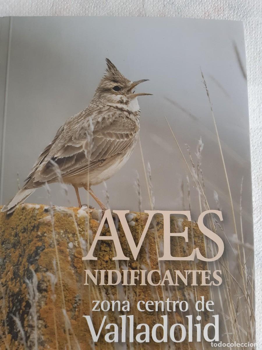 Libros de segunda mano: AVES NIDIFICANTES Zona centro de Valladolid - GRUPO ORNITOL&Oacute;GICO ALAUDA