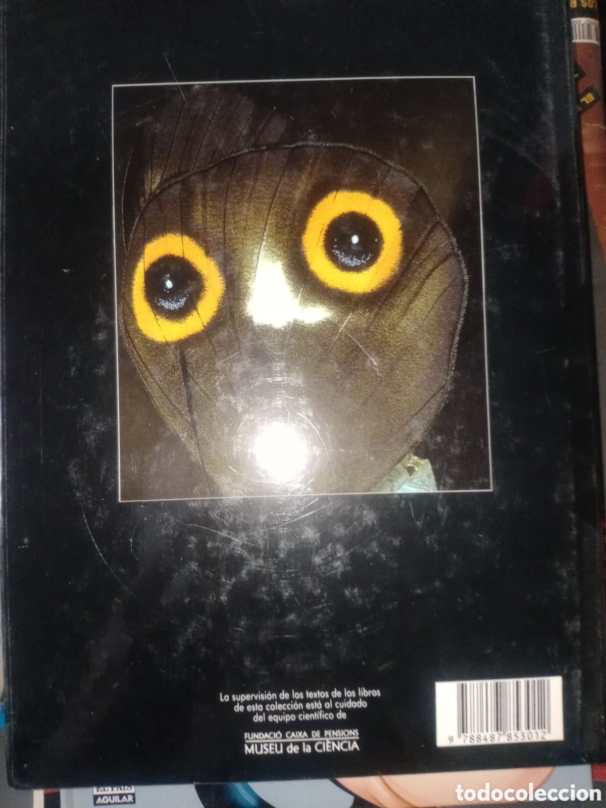 Libros de segunda mano: Toreteblanco el arte de observar el comportamiento animal - Foto 2