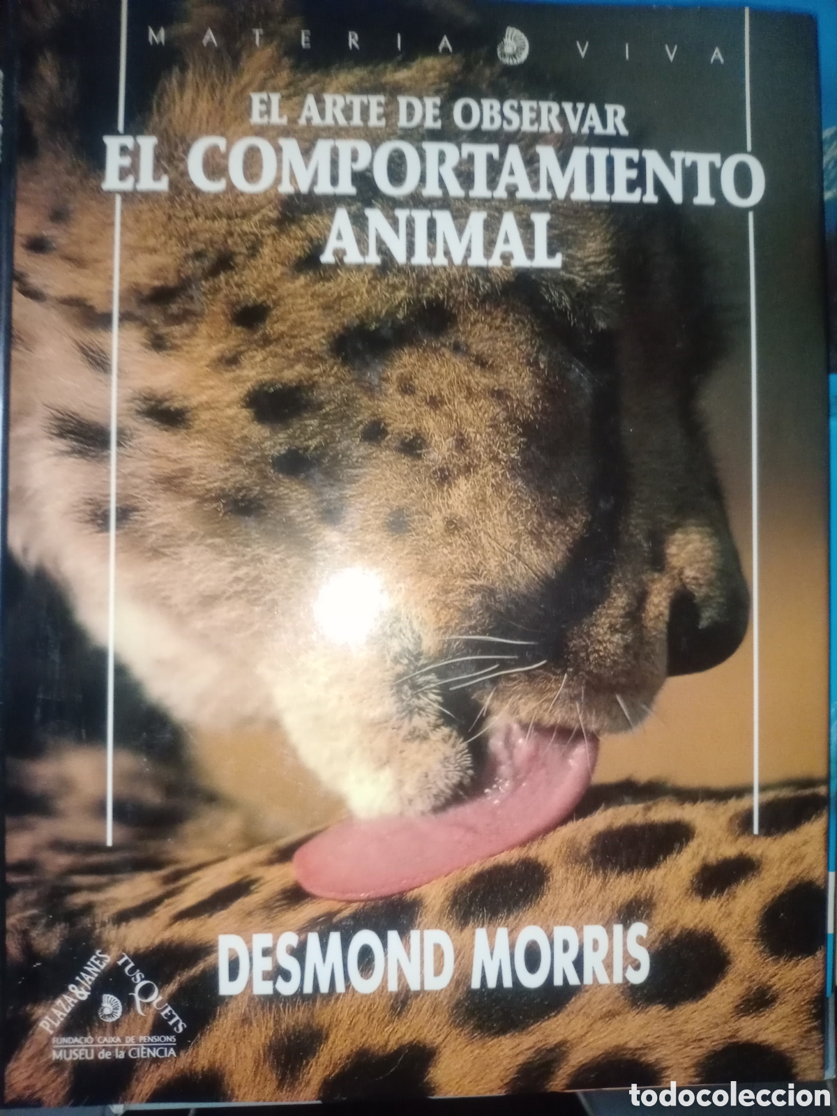 Libros de segunda mano: Toreteblanco el arte de observar el comportamiento animal - Foto 1