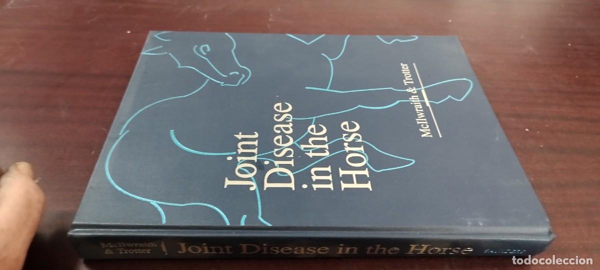 Libros de segunda mano: JOINT DISEASE IN THE HORSE/ McIlwraith -Trotter / EN INGLES Enfermedades articulares en el caballo