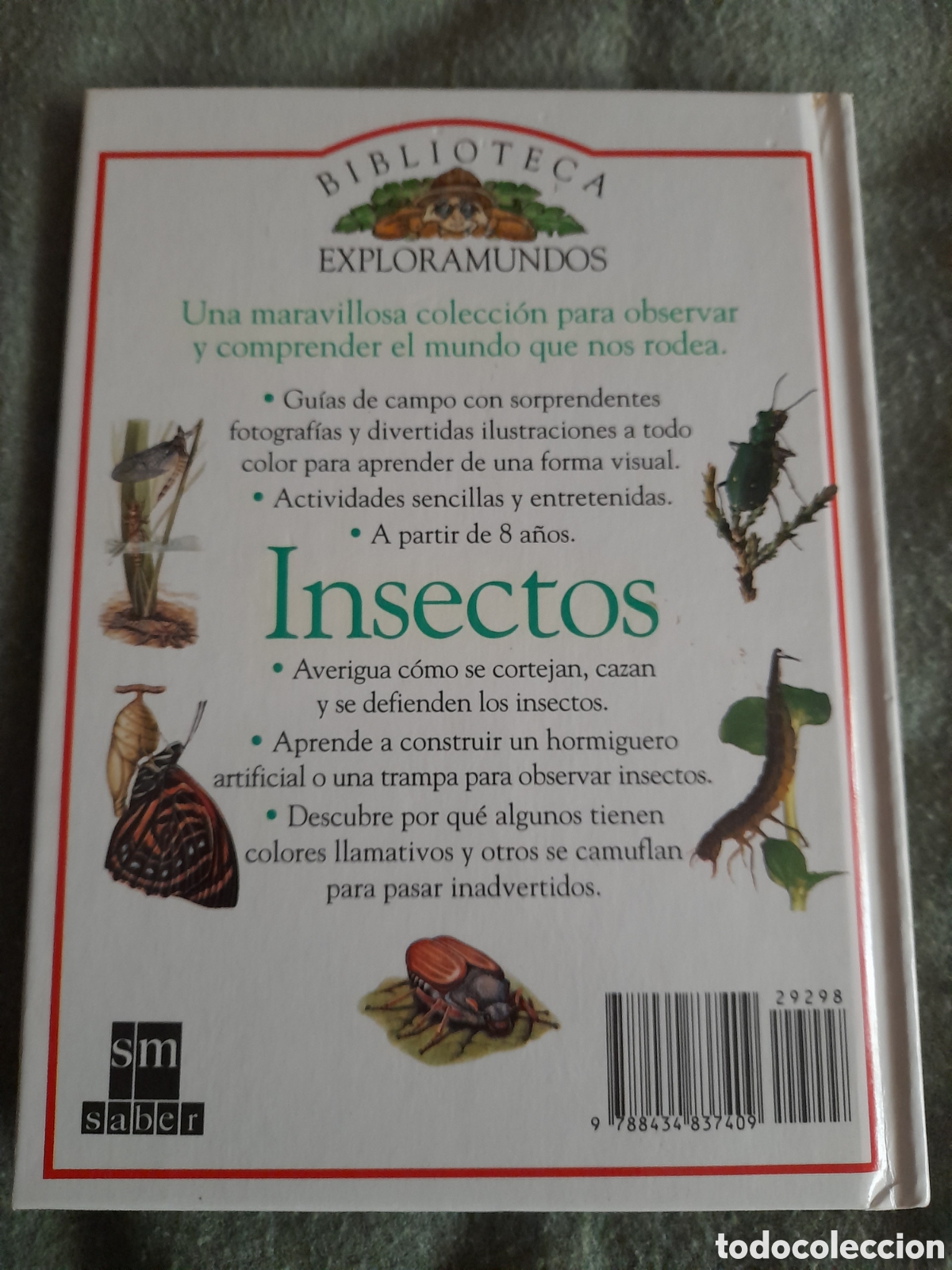 Libros de segunda mano: Libro biblioteca exploramundos, Insectos - Foto 2