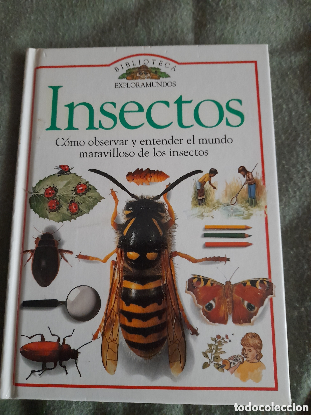 Libros de segunda mano: Libro biblioteca exploramundos, Insectos - Foto 1