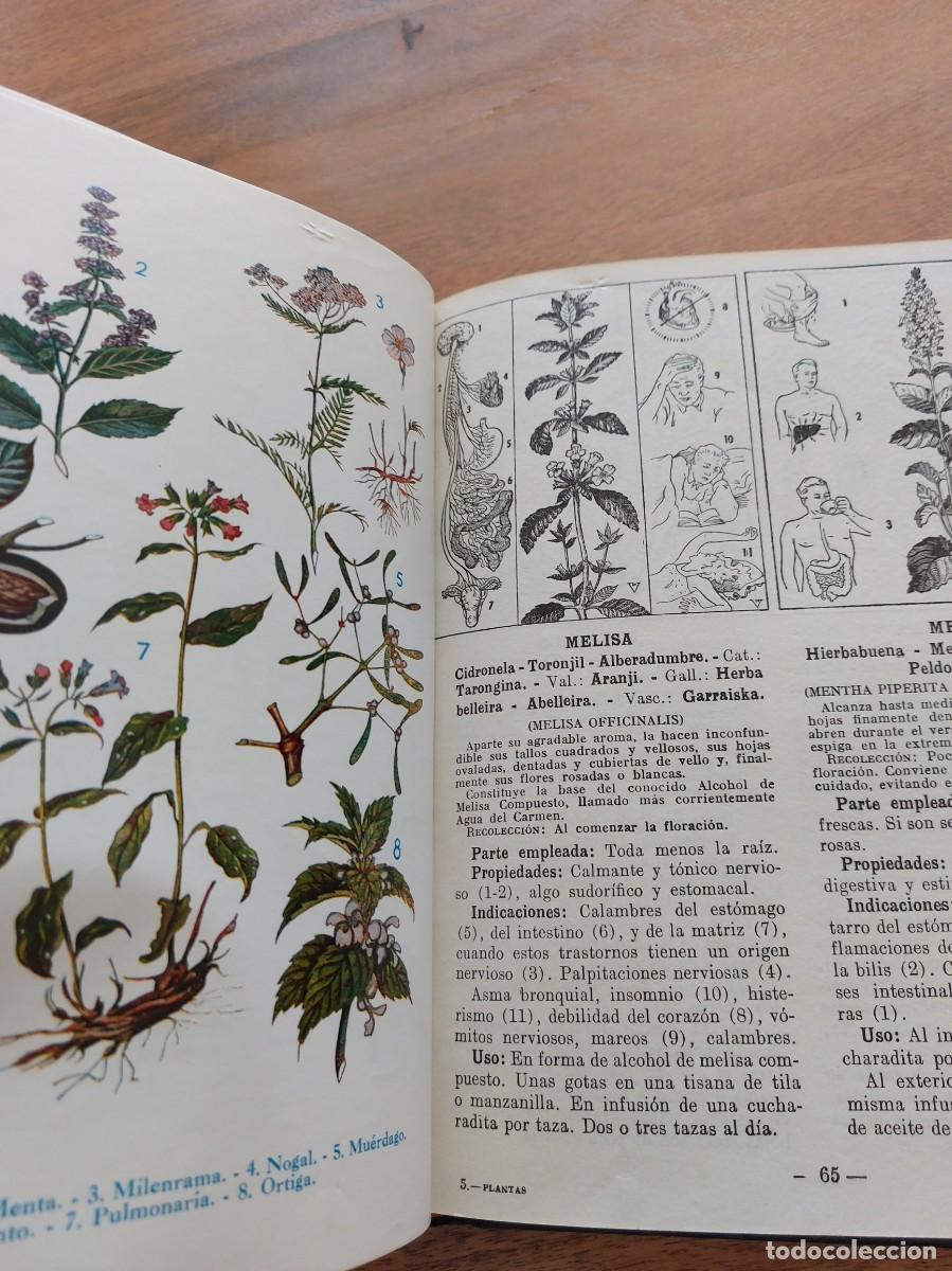 Libros de segunda mano: PLANTAS MEDICINALES - DR. VANDER - 1972 - EJEMPLAR NUMERADO 10539 - Foto 8