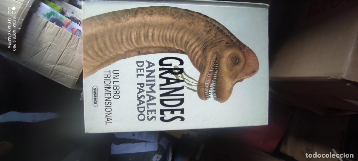 Libros de segunda mano: LOS GRANDES ANIMALES DEL PASADO. Un libro Tridimensional. Pop Up - Compass Productions