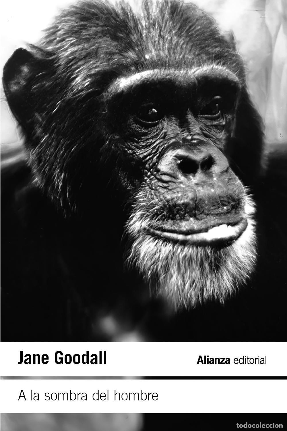 Libros de segunda mano: A la sombra del hombre. - Goodall, Jane.