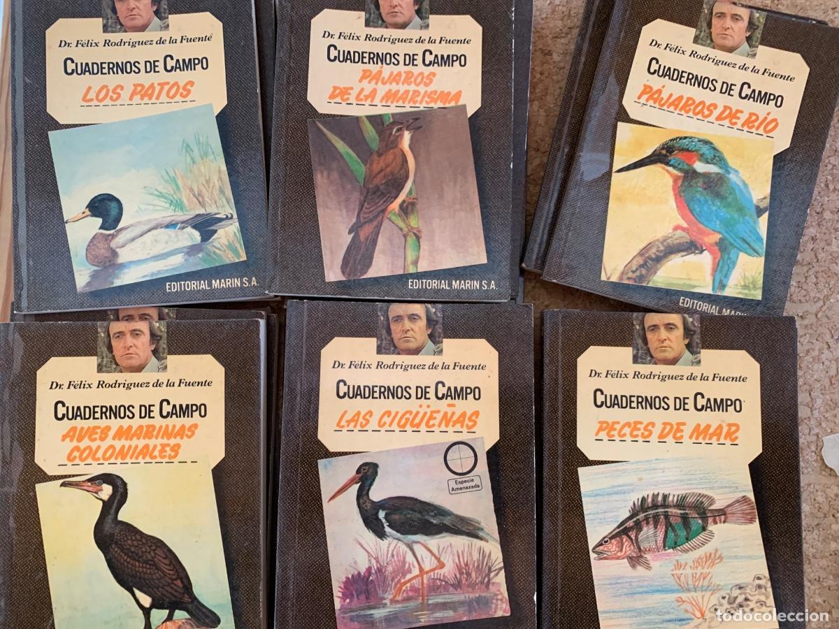 Libros de segunda mano: Lote de 27 cuadernos de campo. F&eacute;lix Rodr&iacute;guez debla Fuente.
