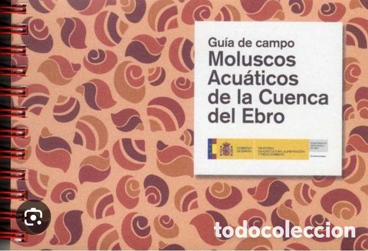 Libros de segunda mano: GUIA DE CAMPO. MOLUSCOS ACUATICOS DE LA CUENCA DEL EBRO.