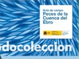 Libros de segunda mano: GUIA DE CAMPO. PECES DE LA CUENCA DEL EBRO.