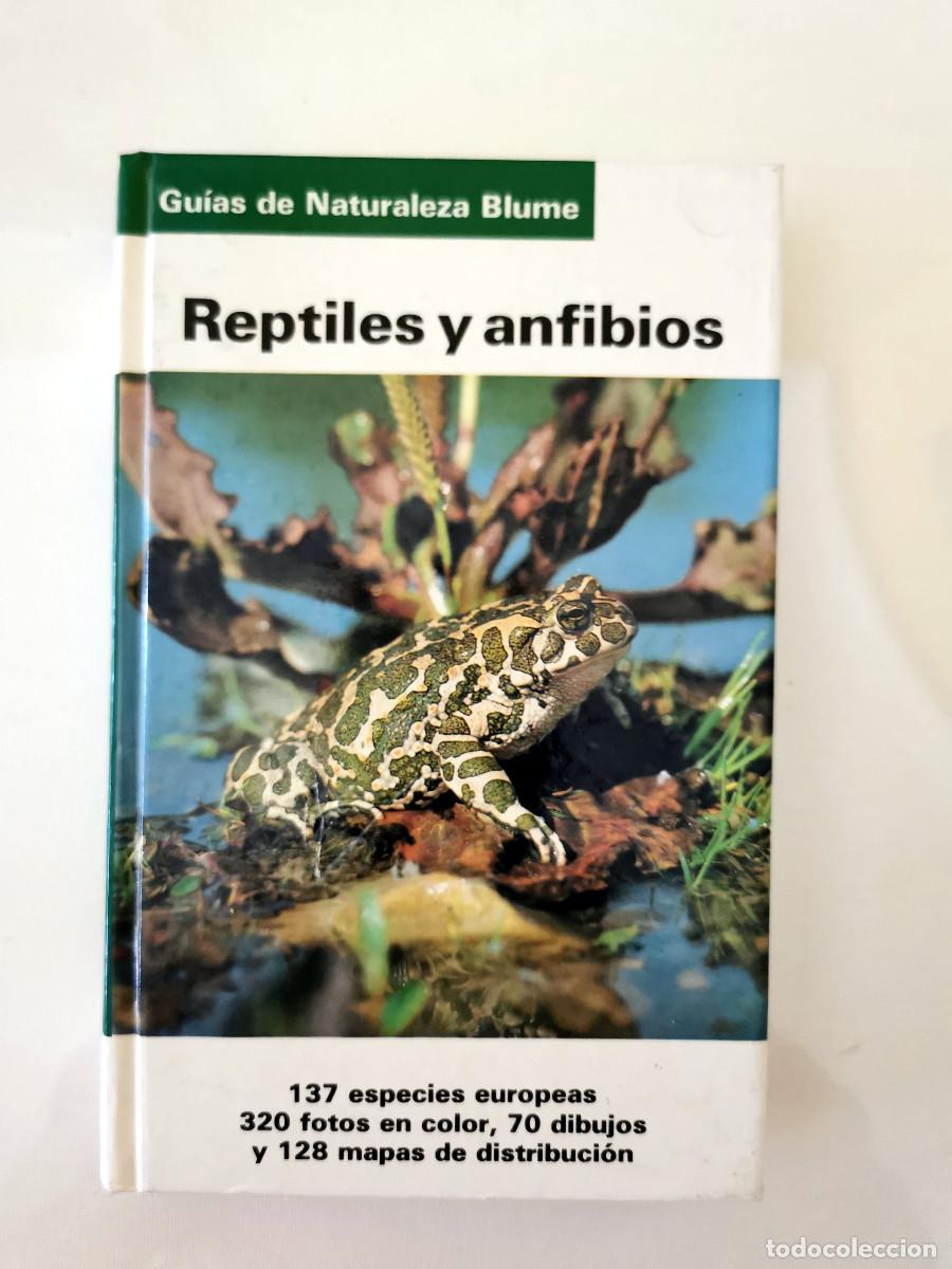 Libros de segunda mano: Reptiles y anfibios. Guias de la naturaleza Blume - Gunter Diesener Josef Reichholf.
