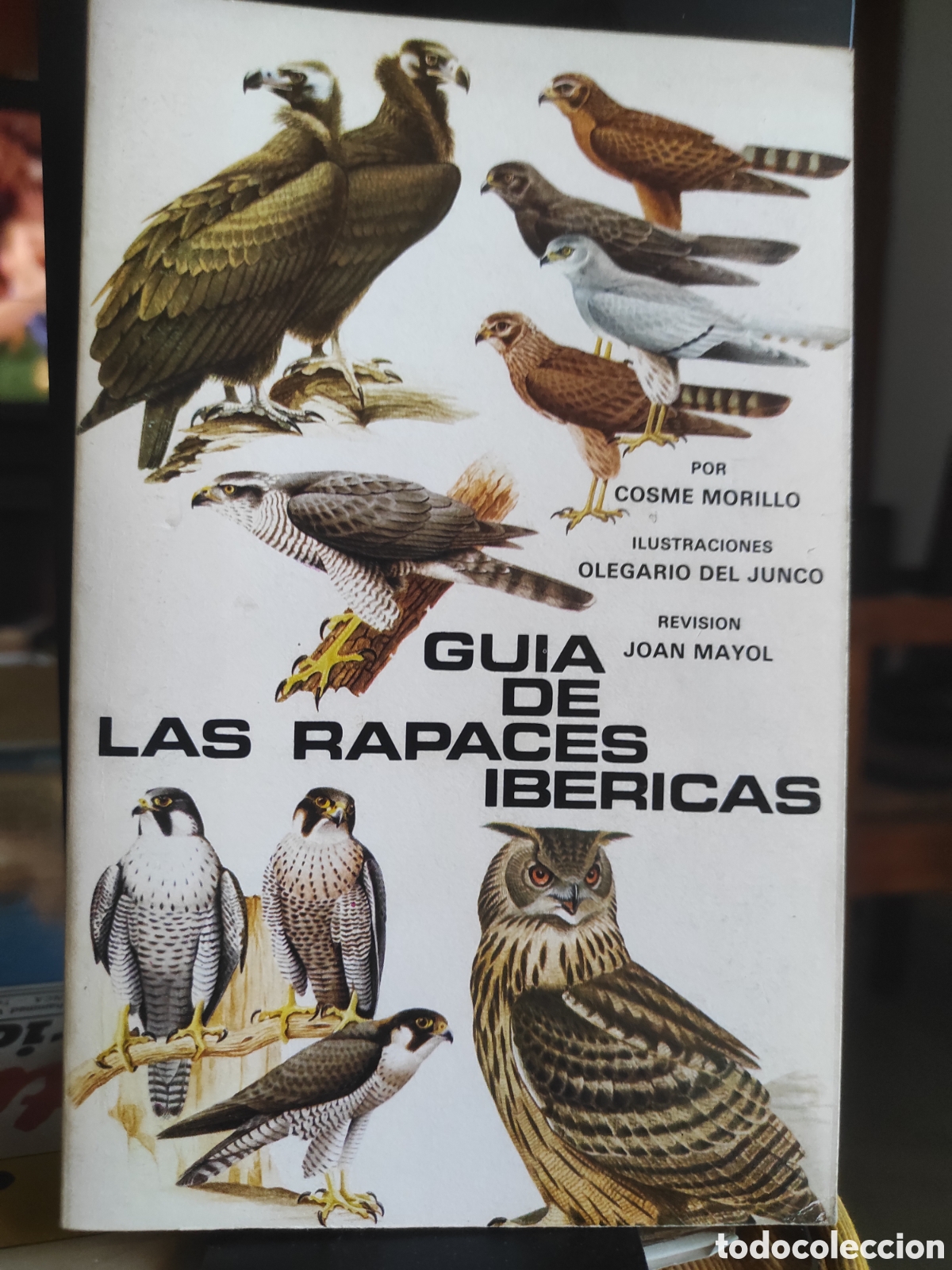 Libros de segunda mano: GU&Iacute;A DE LAS RAPACES IB&Eacute;RICAS - Morillo, Cosme - Ilustraciones de Olegario del Junco.