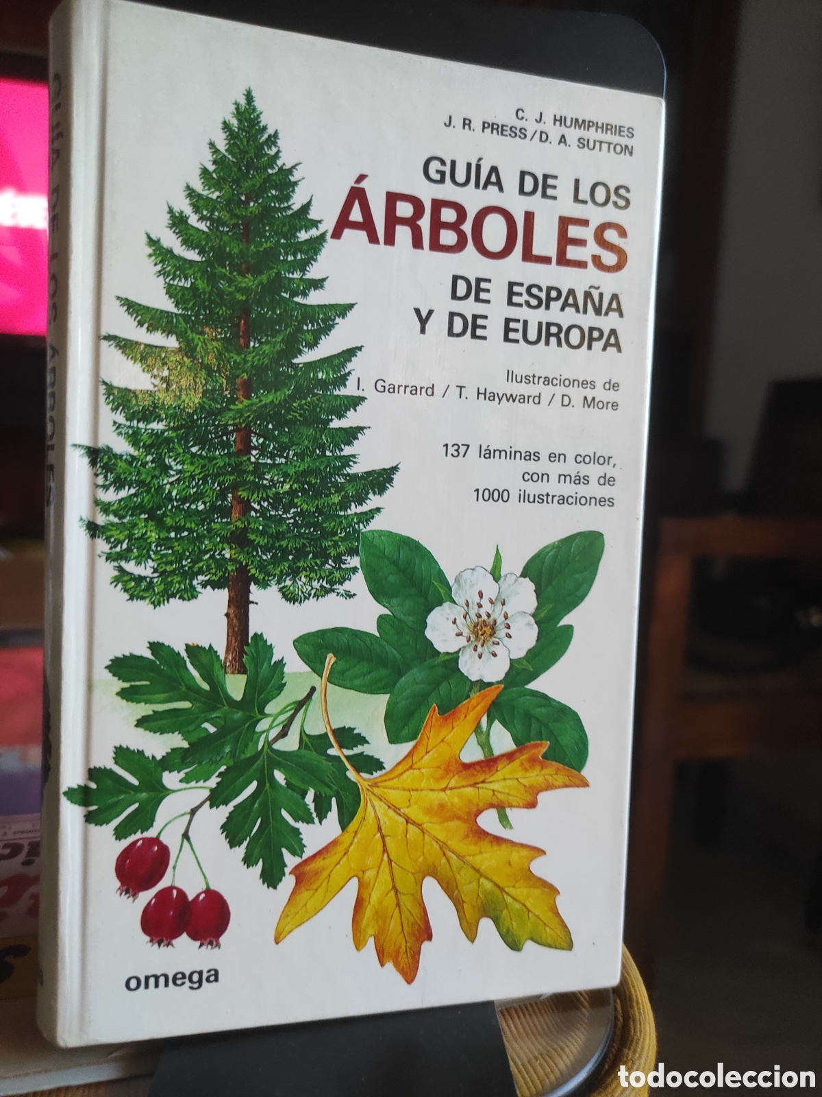 Libros de segunda mano: Gu&iacute;a de los &Aacute;rboles de Espa&ntilde;a y Europa, Edici&oacute;nes Omega