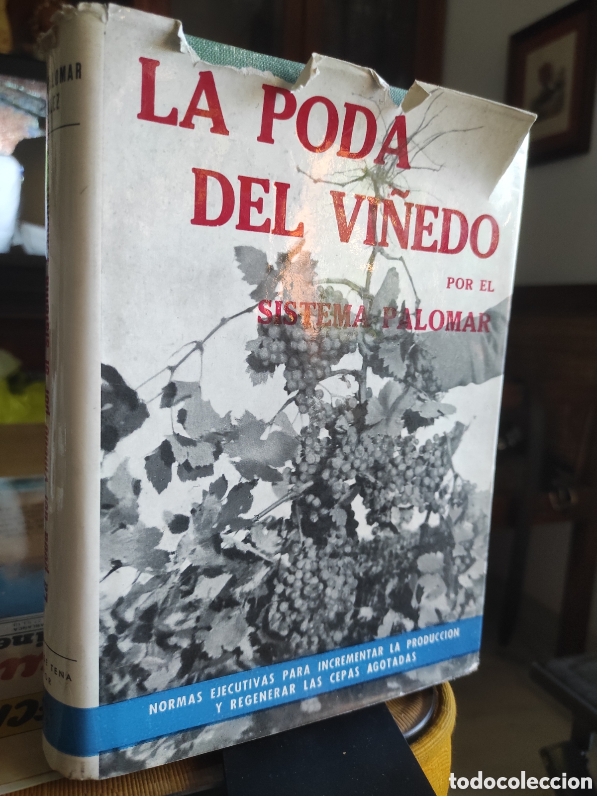 Libros de segunda mano: La poda del vi&ntilde;edo, por el Sistema Palomar, Ram&oacute;n Palomar Gonz&aacute;lez