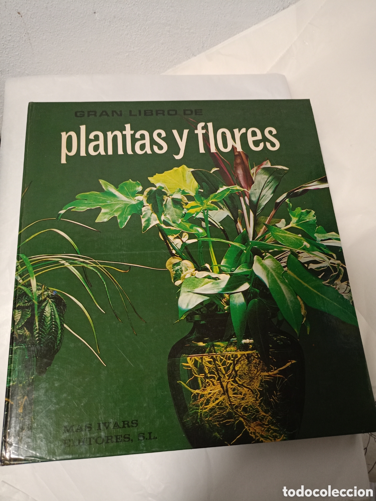 Gebrauchte B&uuml;cher: GRAN LIBRO DE PLANTAS Y FLORES EDITORIAL MAS-IVARS , CAJA AHORROS DE VALENCIA 1980