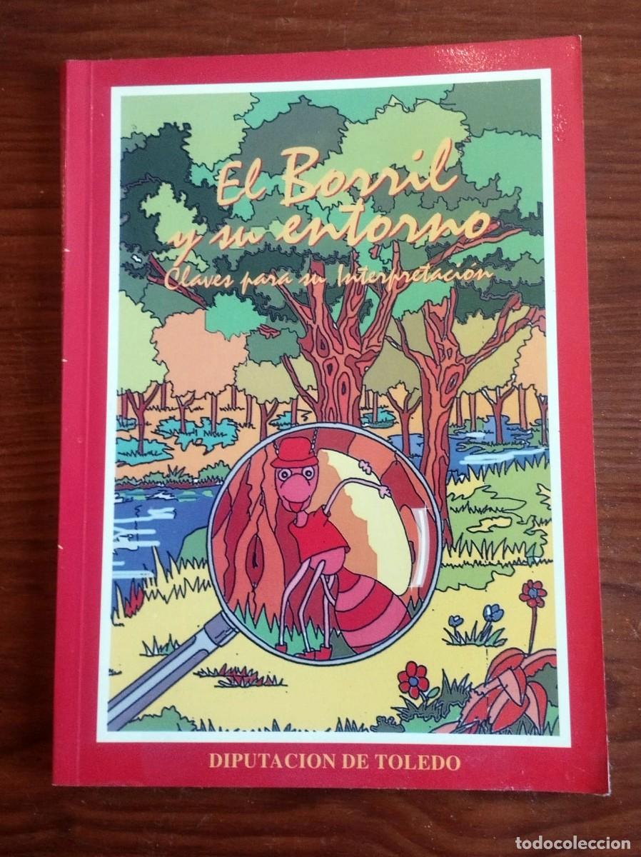 Libros de segunda mano: &rdquo;El Borril y su entorno. Claves para su interpretaci&oacute;n&rdquo;