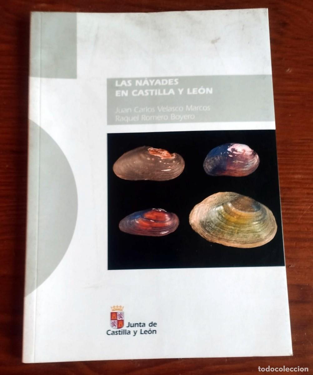 Libros de segunda mano: &rdquo;Las n&aacute;yades en Castilla y Le&oacute;n&rdquo; - Foto 1