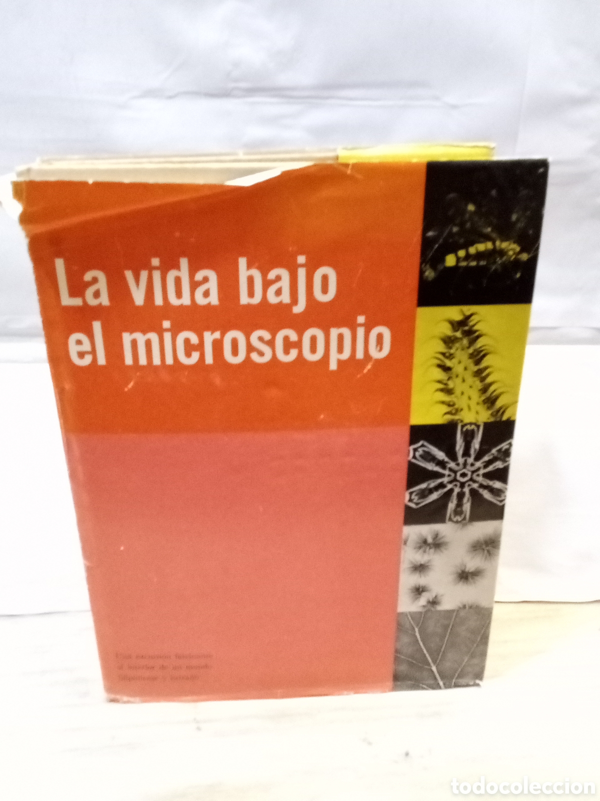 Gebrauchte B&uuml;cher: La vida bajo el microscopio