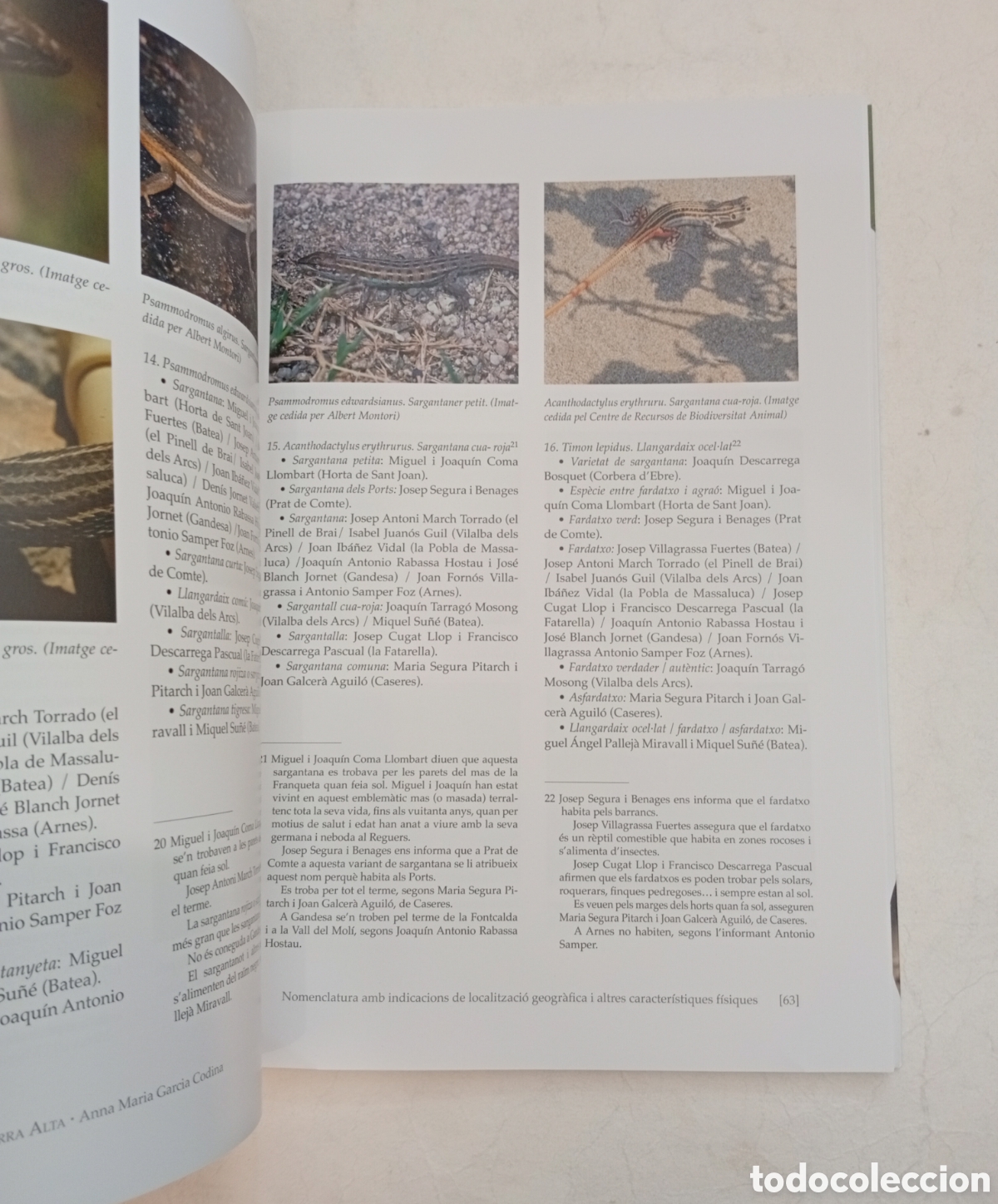 Libros de segunda mano: R&egrave;ptils i amfibis a la Terra Alta - Foto 3