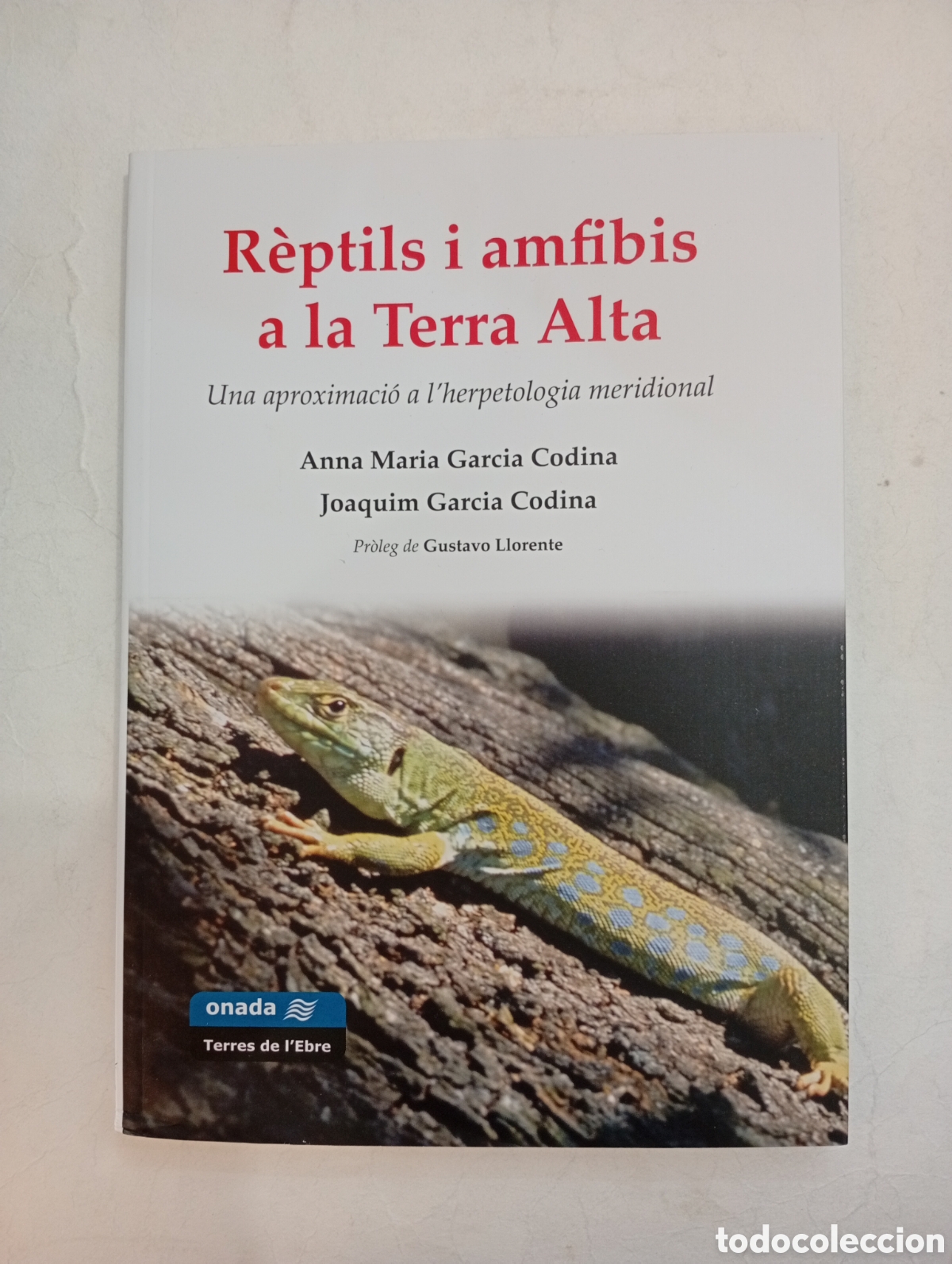 Libros de segunda mano: R&egrave;ptils i amfibis a la Terra Alta