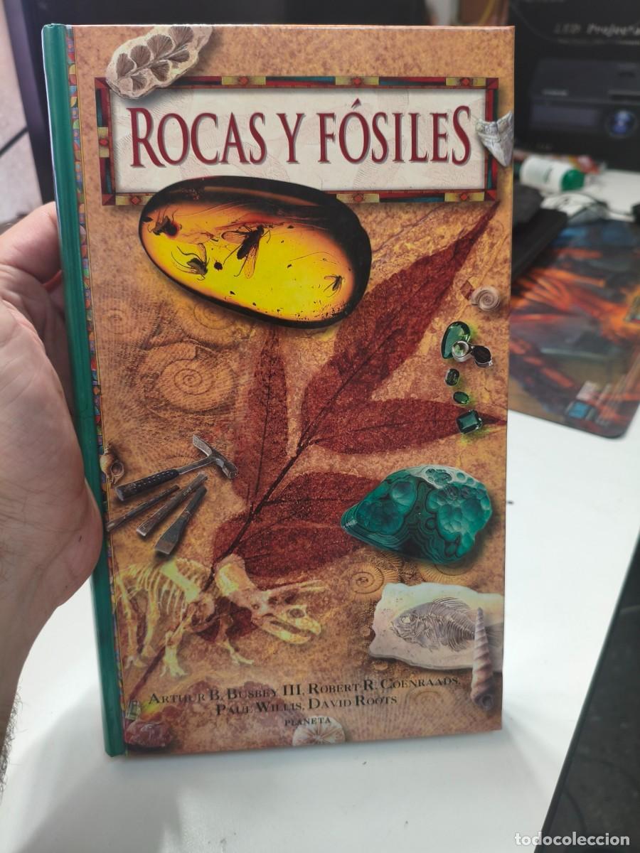 Second hand books: ROCAS Y F&Oacute;SILES.-Arthur B. Busbey III, Robert R. Coenraads, Paul Willis, David Roots