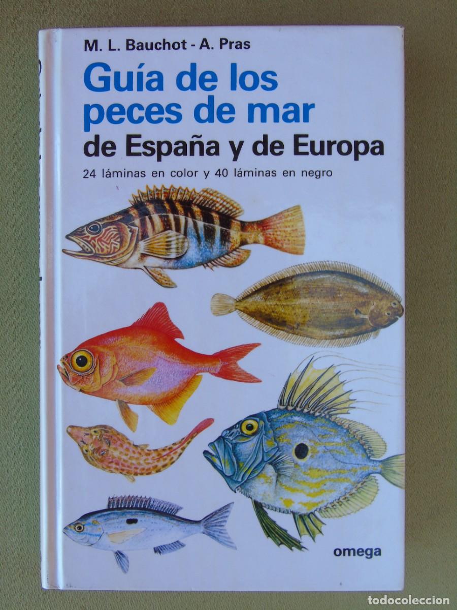 Libri di seconda mano: GUIA DE LOS PECES DEL MAR DE ESPA&Ntilde;A Y DE EUROPA. M.L. BAUCHOT - A. PRAS. ED. OMEGA. 1982