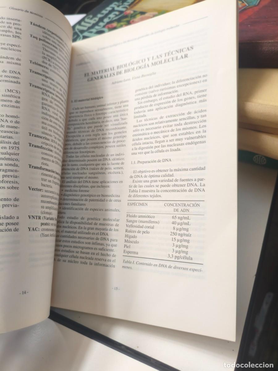 Libros de segunda mano de ciencias: T&eacute;cnicas de biolog&iacute;a molecular M.Baiget - Foto 2