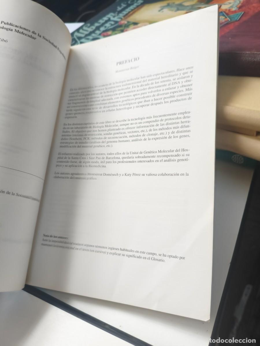 Libros de segunda mano de ciencias: T&eacute;cnicas de biolog&iacute;a molecular M.Baiget - Foto 4