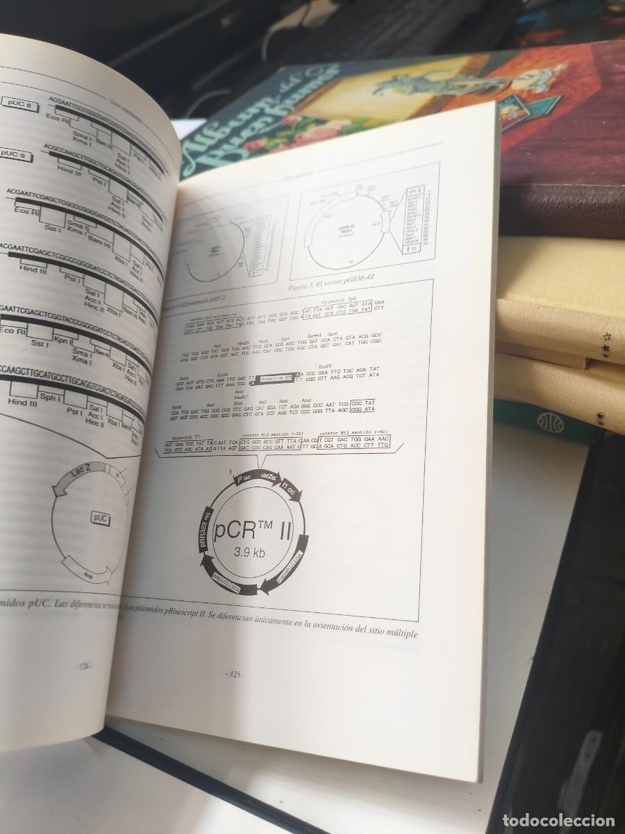 Libros de segunda mano de ciencias: T&eacute;cnicas de biolog&iacute;a molecular M.Baiget - Foto 5