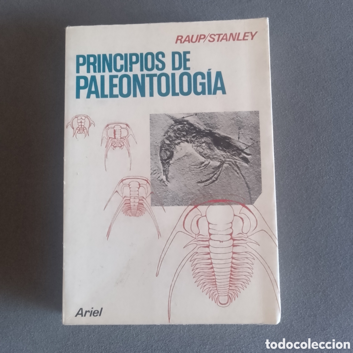 Second hand books: PRINCIPIOS DE PALEONTOLOGIA POR DAVID RAUP Y S. STALNEY 1978 PRIMERA EDICION ARIEL RARO