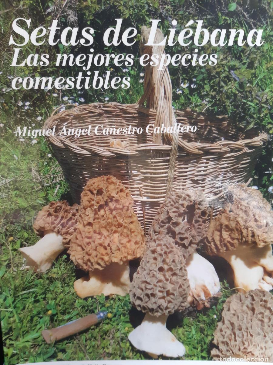 Libros de segunda mano: SETAS DE LIEBANA MEJORES ESPECIES COMESTIBLES MIGUEL ANGEL CA&Ntilde;ESTRO CABALLERO CANTABRIA MICOLOGIA