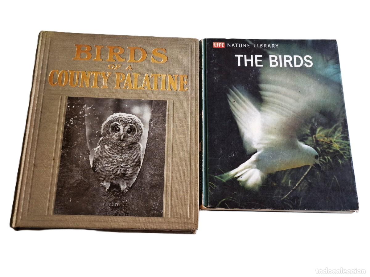 Libri di seconda mano: 2 LIBROS BIRDS (AVES) -------------------