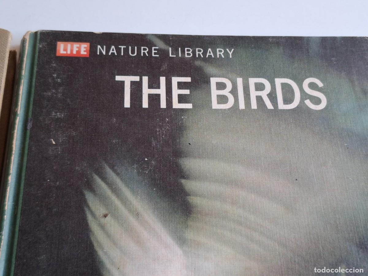 Libros de segunda mano: 2 LIBROS BIRDS (AVES) ------------------- - Foto 3