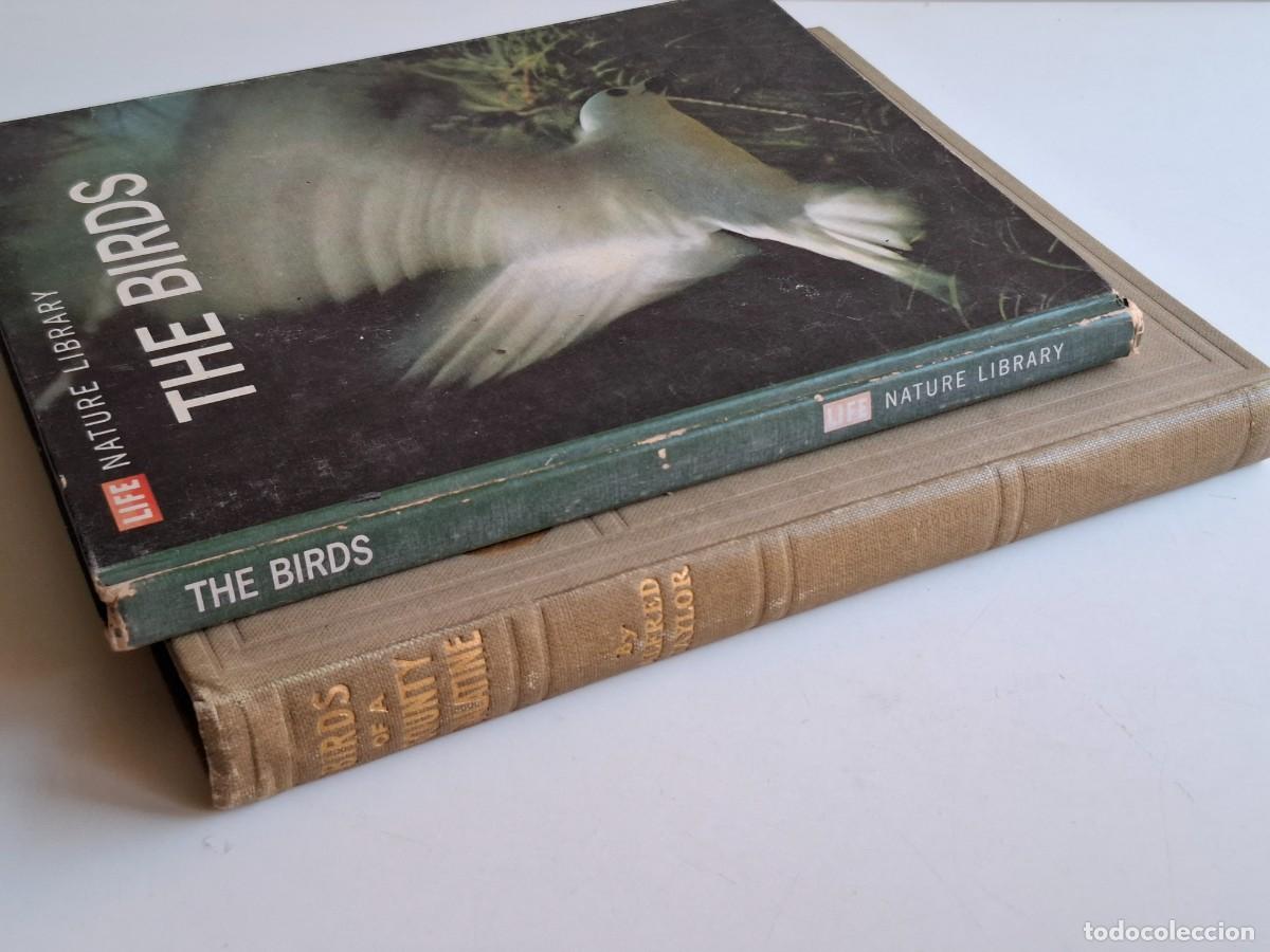 Libros de segunda mano: 2 LIBROS BIRDS (AVES) ------------------- - Foto 13