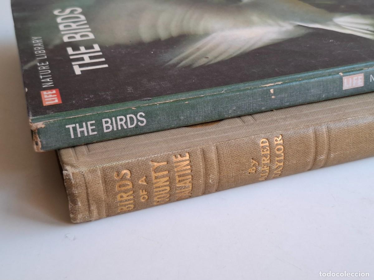 Libros de segunda mano: 2 LIBROS BIRDS (AVES) ------------------- - Foto 14