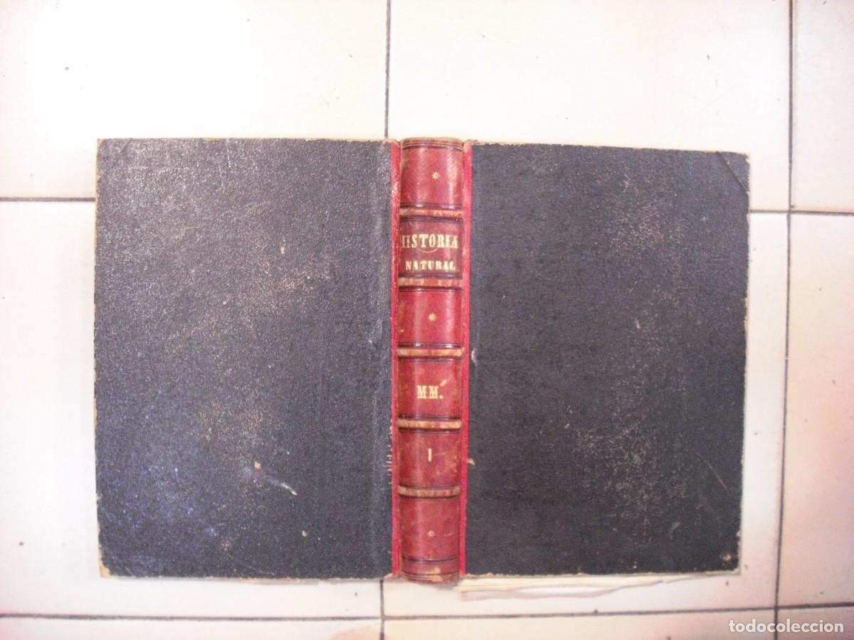Livros em segunda m&atilde;o: HISTORIA NATURAL , TOMO I MAMIFEROS , DR. BREHM 1880